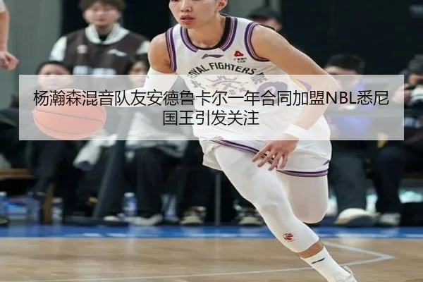 杨瀚森混音队友安德鲁卡尔一年合同加盟NBL悉尼国王引发关注 | BOneSports