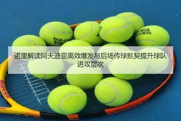 诺里解读阿夫迪亚高效爆发与后场传球默契提升球队进攻层次 | BOneSports